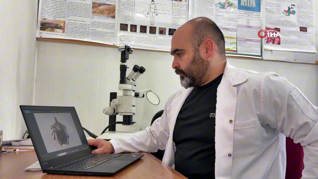 Bu mevsimde kamp yapanlar şimdi yandı: Sayısı hızla artıyor! Uzman isim uyardı, bunun şakası yok 1